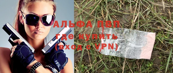 эйфоретик Богданович