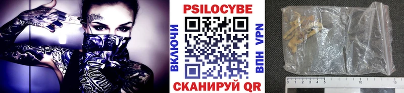 Купить где  Белозерск  Галлюциногенные грибы MAGIC MUSHROOMS 